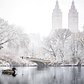 The Lake, Central Park, Manhattan. Photo via @beholdingeye #viewingnyc #nyc #newyork #newyorkcity #centralpark