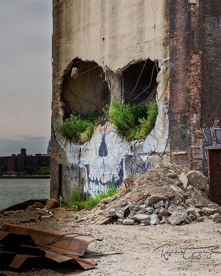 Greg Suits' Skull Mural in Greenpoint