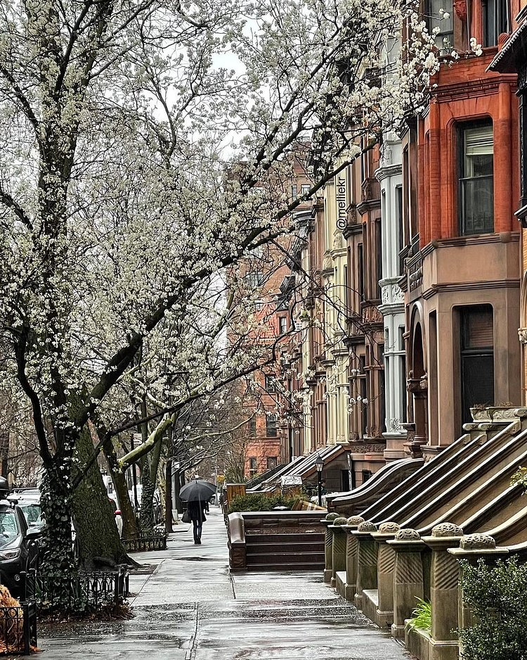 Park Slope, Brooklyn