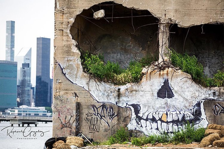 Greg Suits' Skull Mural in Greenpoint