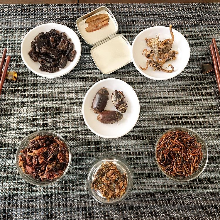Look at this delicious selection of #edibleinsects from our various sponsors. Tag a friend who'd love to try eating some #bugs! 📷: @dinnerecho