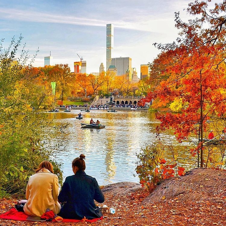 Photo via @gigi.nyc 
#viewingnyc