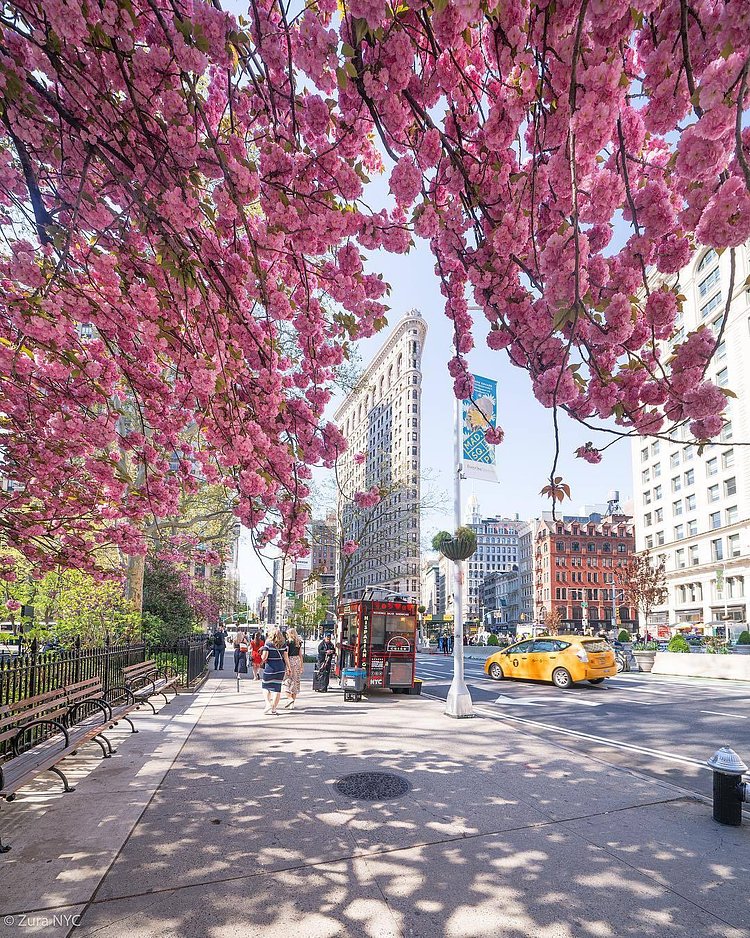 Spring in Flatiron District, Manhattan