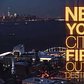 First Look at Empire Outlets and the Future of Staten Island