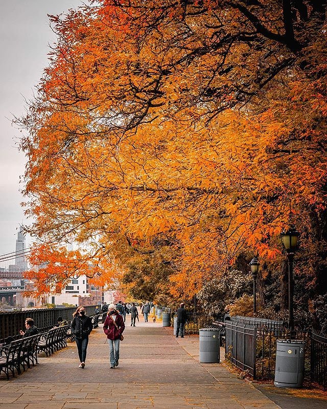 Brooklyn Heights Promenade, Brooklyn