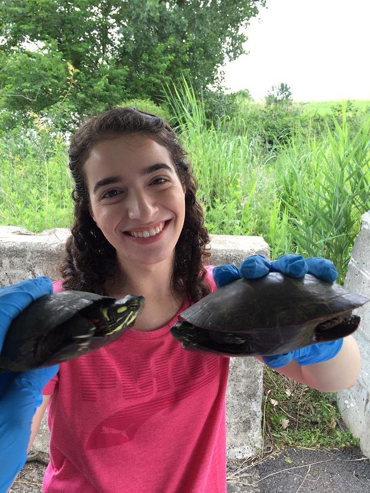 Rossana is really happy we are getting lots of recaptures @freshkillspark http://t.co/HIn0pLh47L