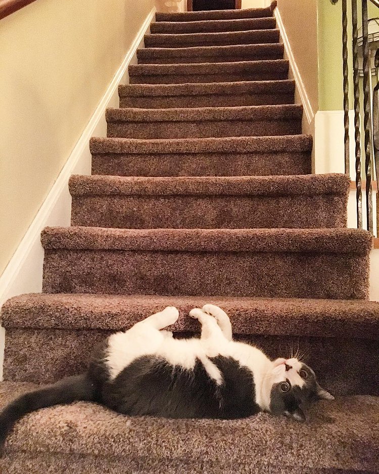 He's trying to get attention by pretending he fell. #MacDuff