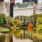 Plaza Hotel from Central Park, Manhattan