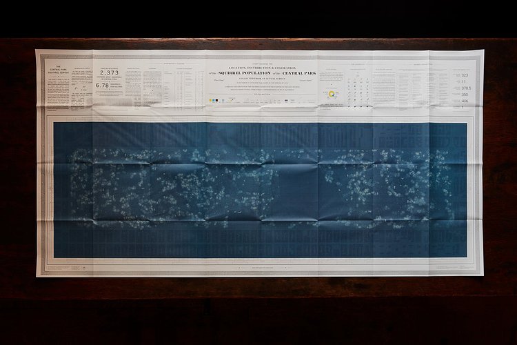 The Squirrel Census, Central Park, Celestial