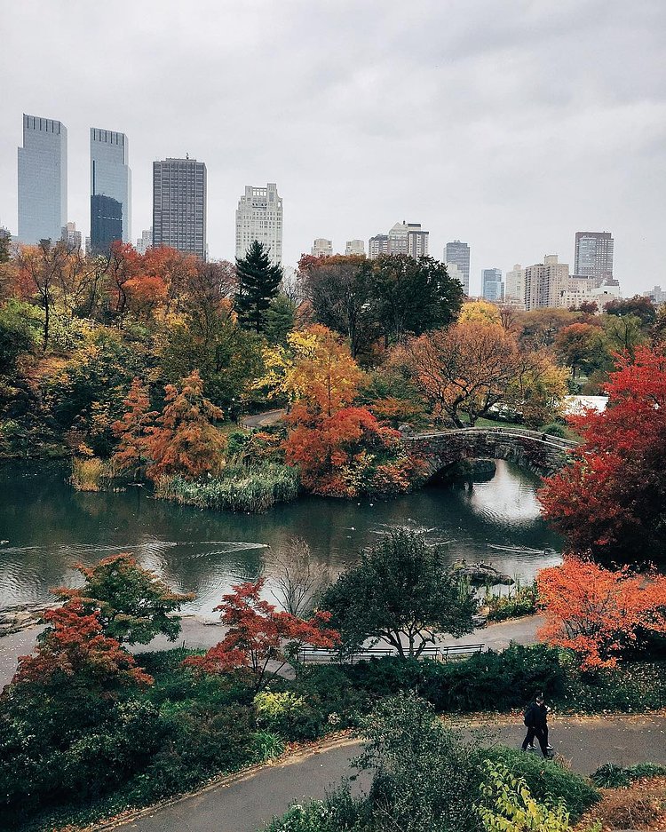 🍁🍃🍂
.
.
.
#vsco #vscocam #nature #NYC #NewYork #aov #artofvisuals #NewYorkCity #autumn #thatsdarling #morningslikethese #nbc4ny #abc7ny #nypix #nydngram #nypostnyc #huffpostgram #exploreeverything #fox5ny #passionpassport #neverstopexploring #vscogood #made_in_ny #thisisnewyorkcity #seeyourcity #what_i_saw_in_nyc #explore #newyork_instagram #🍁