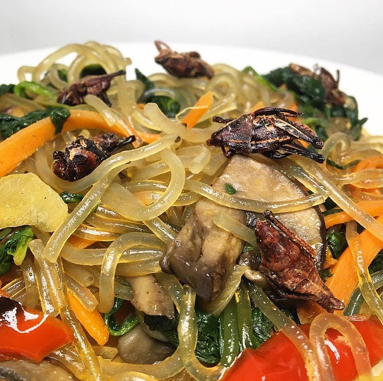We hope you can join us at our Bug Banquet on Sat, 9/2 at @thebklynkitchen with host David George Gordon (@thebugchef) and dinner prepared by @dinnerecho.  How would you like these cellophane noodles with delicious chapulines from @edible.insects @entomarket?  Advance tickets at a reduced price still available at www.brooklynbugs.com