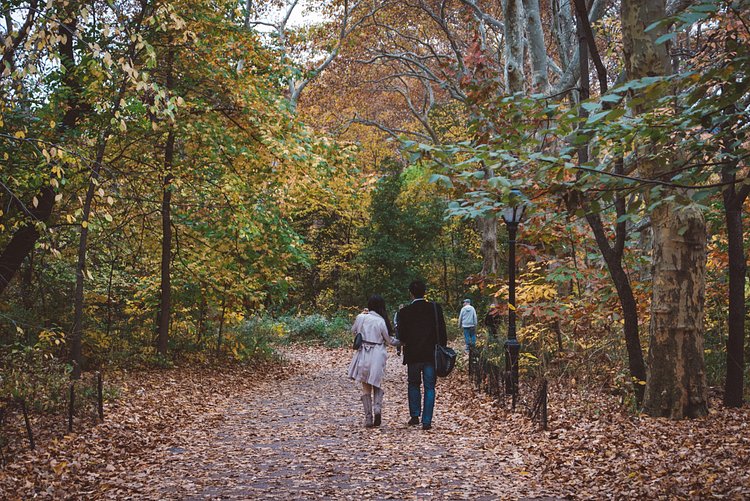 Autumn in Central Park