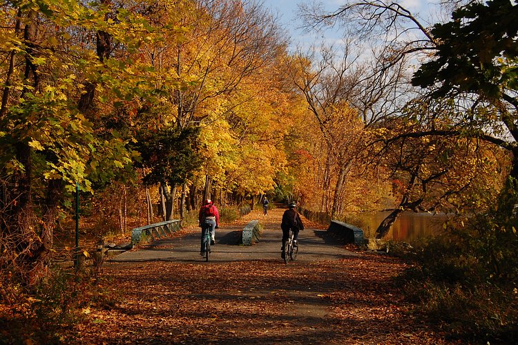 Van Cortlandt Park