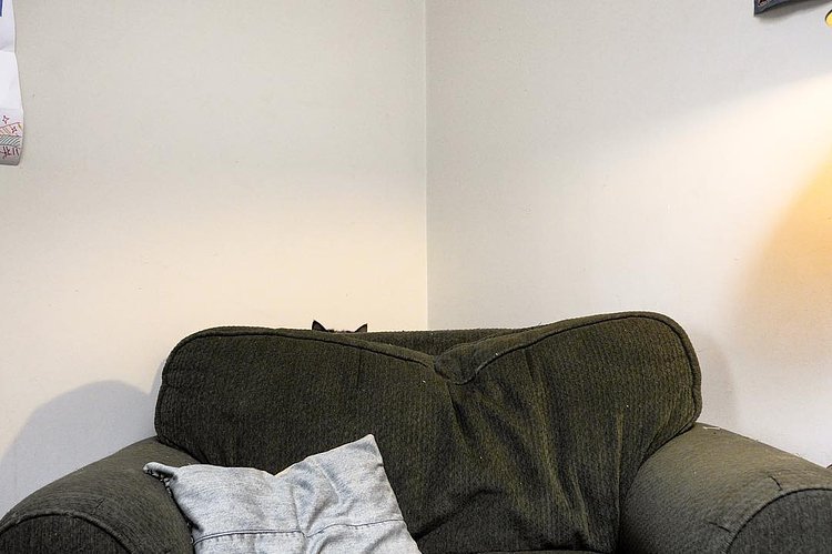 “Is the guy with the camera gone?”
“No, I’m still here.”
“Why?”
- Bonkers, Red Hook