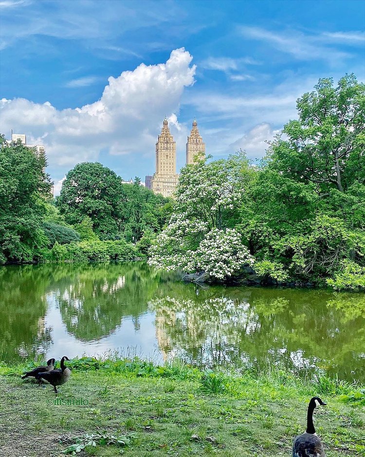 Central Park, Manhattan