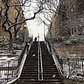 Photo via @eyesearsviewsnyc 
Washington Heights

#viewingnyc
