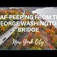 Leaf-peeping (fall-foliage viewing) from the George Washington Bridge in Washington Heights, NYC