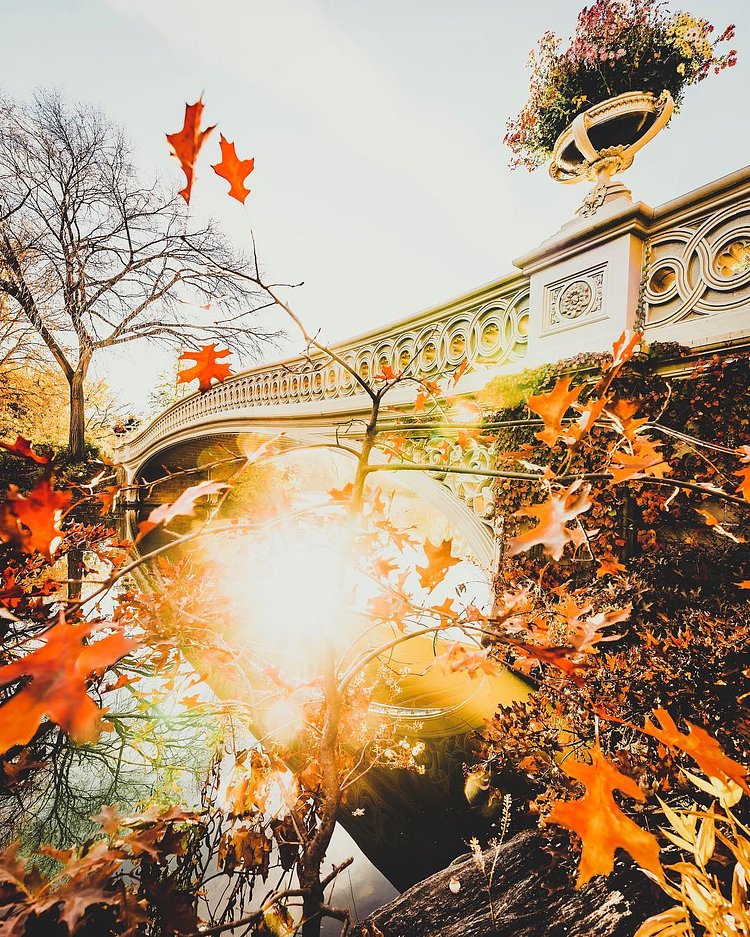Quiet mornings in @centralparknyc watching the colors fade away, buh-bye!

Question now - Who uses Lightroom? And what are your favorite preset packs?