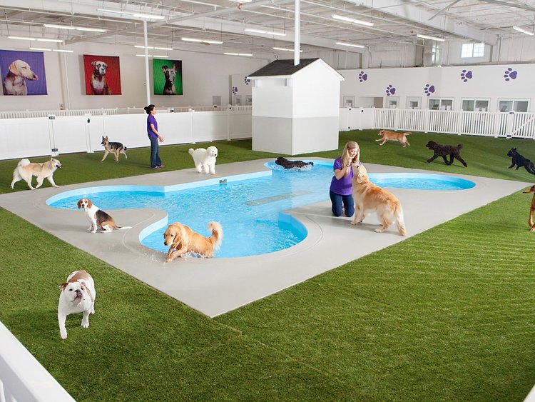 This undated artist rendering courtesy of ARK Development shows Paradise 4 Paws, a holding area for dogs in a new luxury animal terminal planned for New York's JFK Airport.