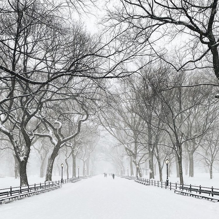 The Mall in Central Park, Manhattan