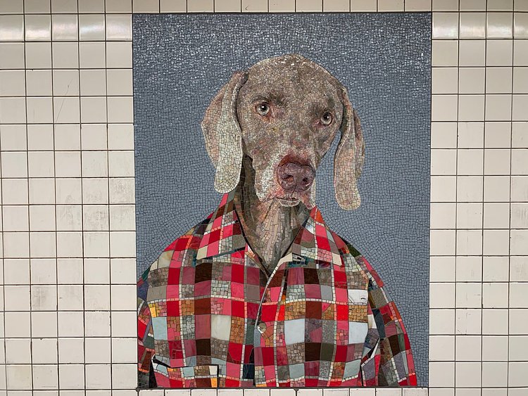 The Newly Reopened 23rd Street F/M Station Has Already Gone To The Dogs