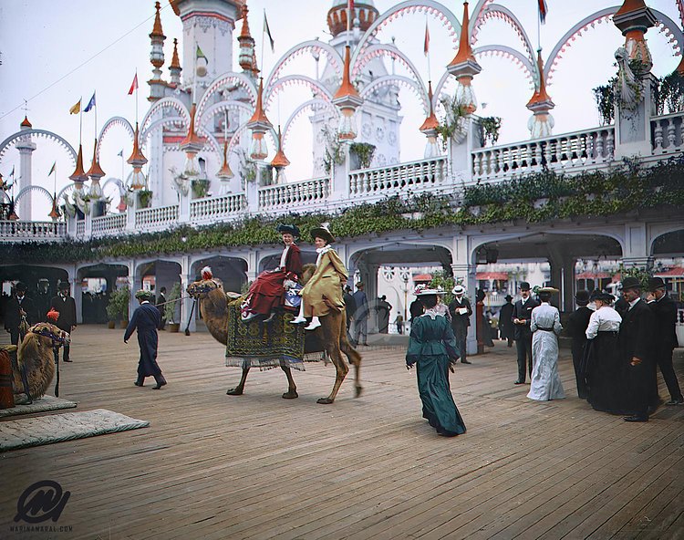 Camel riding, Coney Island, New York, 1905. Luna Park.