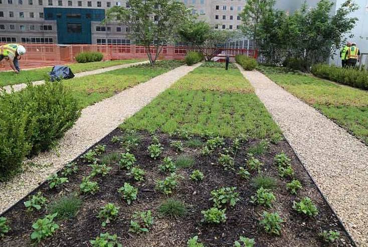 Planting Continues at Park Level of WTC Liberty Park