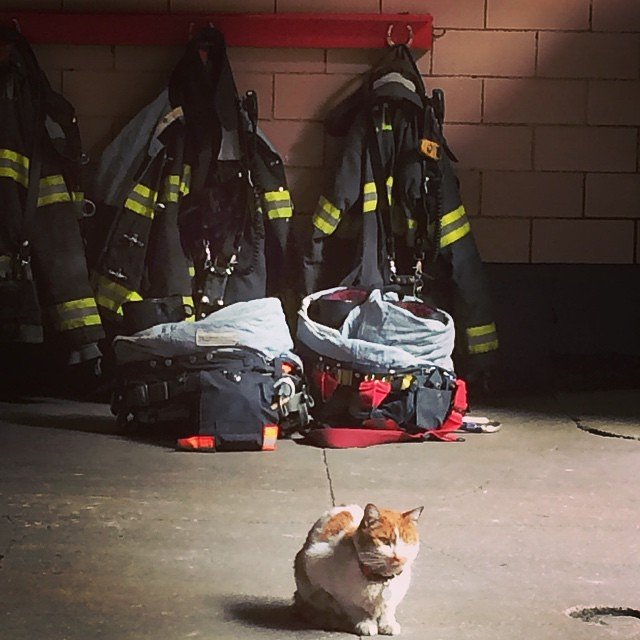 Suit up boys. We've got work to do. 🔥#everybodygoes