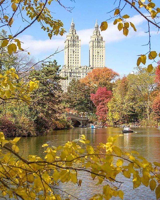 Central Park Lake, New York. Photo via @newyorkcitykopp #newyorkcity #newyork #nyc #viewingnyc