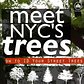 Meet NYC's Trees: Honeylocust