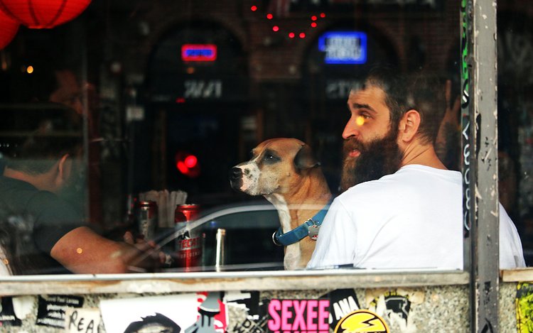 A dude and his dog sitting in a bar | East Village, NYC