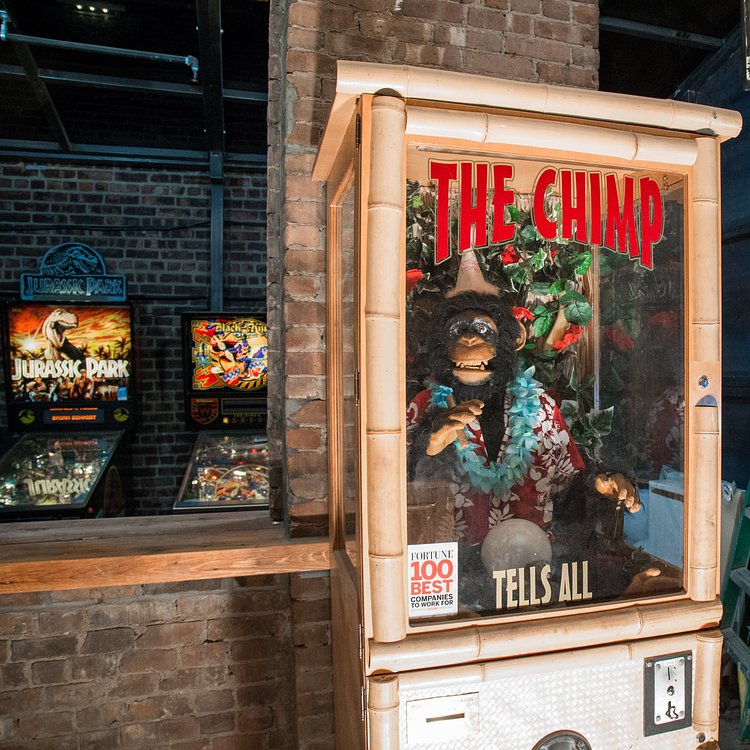 A fortune-telling machine sits in the back of the laundromat, next to the bar.