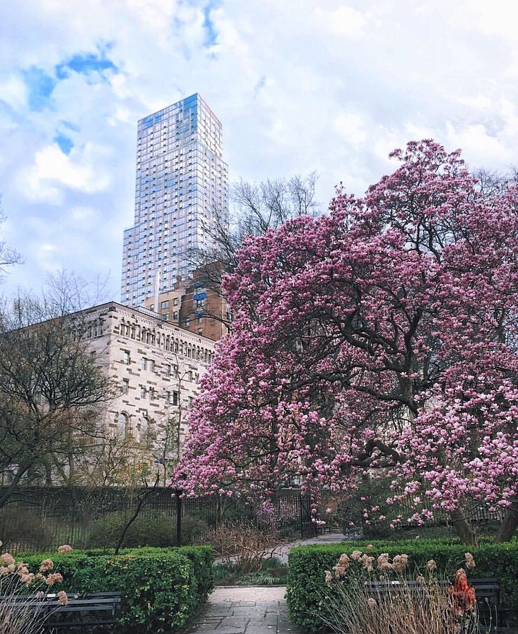 In between winter and spring is my favorite kind of season ⛄️🌸 What's yours? 
Gahhh! Still hasn't sunk in that I'm here!