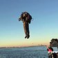 World's only JetPack flies in New York