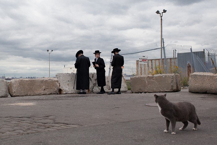 White Foot, one of Joe's feral cats, exchanges glances with a young Orthodox Jew praying at a Tashlich ceremony during Yom Kippur in Sunset Park, Brooklyn.