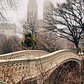 Bow Bridge, Central Park, New York