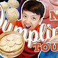 BEST DUMPLINGS in New York! Dumpling Tour of New York City