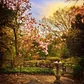 Shakespeare's Garden, Central Park, Manhattan 