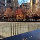 The beautiful, inspiring Survivor Tree stands in it’s Autumn glory ❤️🍁🍂 This is the waterfall where World Trade Center 2 once stood.  A Callery pear tree became known as the "Survivor Tree" after enduring the September 11, 2001 terror attacks at the World Trade Center. In October 2001, the tree was discovered at Ground Zero severely damaged, with snapped roots and burned and broken branches. The tree was removed from the rubble and placed in the care of the New York City Department of Parks and Recreation. After its recovery and rehabilitation, the tree was returned to the Memorial in 2010. New, smooth limbs extended from the gnarled stumps, creating a visible demarcation between the tree’s past and present. Today, the tree stands as a living reminder of resilience, survival and rebirth.