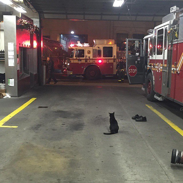 Welcome home fellas. 🏡 🚒 #alwayshappytoseemybuddies #backsafe