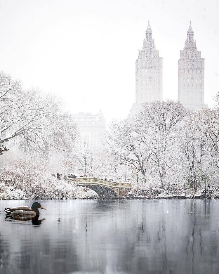 The Lake, Central Park, Manhattan. Photo via @beholdingeye #viewingnyc #nyc #newyork #newyorkcity #centralpark