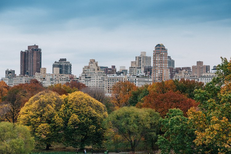 Autumn in Central Park