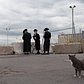White Foot, one of Joe's feral cats, exchanges glances with a young Orthodox Jew praying at a Tashlich ceremony during Yom Kippur in Sunset Park, Brooklyn.
