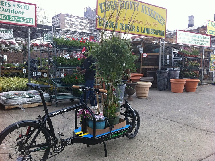 Kings County Nursery