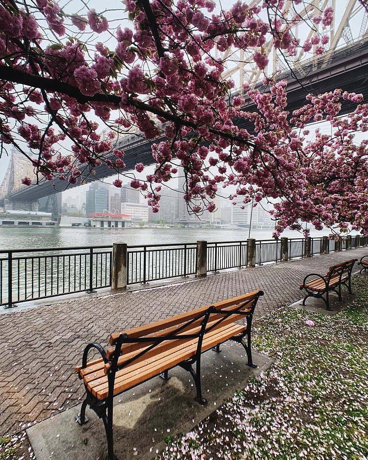 Roosevelt Island, New York