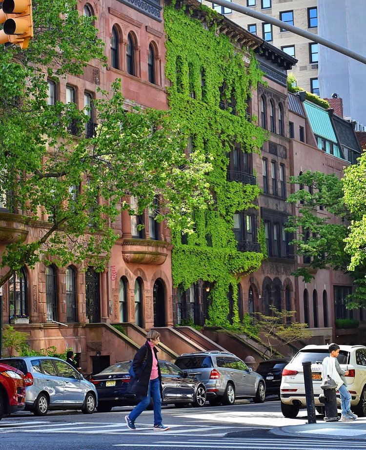 But, like ivy, we grow where there is room for us.
- Miranda July
.
.
05.13.19
An ivy-covered brownstone on the Upper East Side #NewYorkCity
.
#SeeYourCity