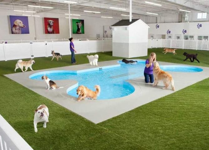 28 JFK airport | JFK airport’s new all-animal terminal is ahead of the pack
The dog and pony show is headed to New York’s John F Kennedy Airport.
When a new terminal called The Ark opens opens next year, 178,000 square feet of posh amenities will include everything from a resort with suites that have large flat-screen TVs, to climate-controlled stalls, showers, massages, a private space especially set aside for penguin mating, a paw-shaped dog swimming pool, a jungle for cats made of live trees that will give them a tantalizing view of the aquarium, and stables full of the finest hay a horse could hope for.
Ok, clearly this terminal isn’t for humans -- it’s for our pets, livestock, birds and other animals that make their way through JFK. 
