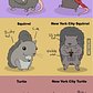 The Difference Between New York City Animals and Animals Everywhere Else