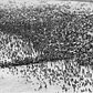 Aug. 3, 1975: Coney Island was one of the few areas of activity during that summer’s hottest days, as the “Coney Island Chamber of Commerce reported a crowd of more than 1 million people, including more than 5,000 who slept on the beaches overnight,” The Times reported. Elsewhere across the five boroughs, “New York City was a town in low gear,” as temperatures seemed to linger in the 90s without any respite in sight.