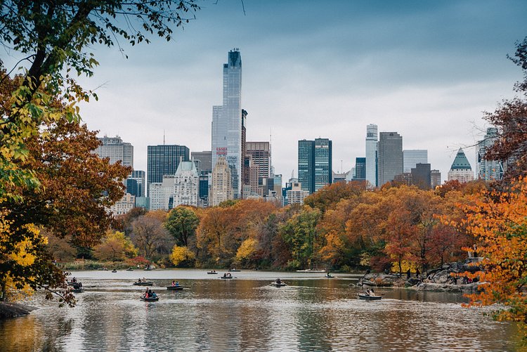 Autumn in Central Park